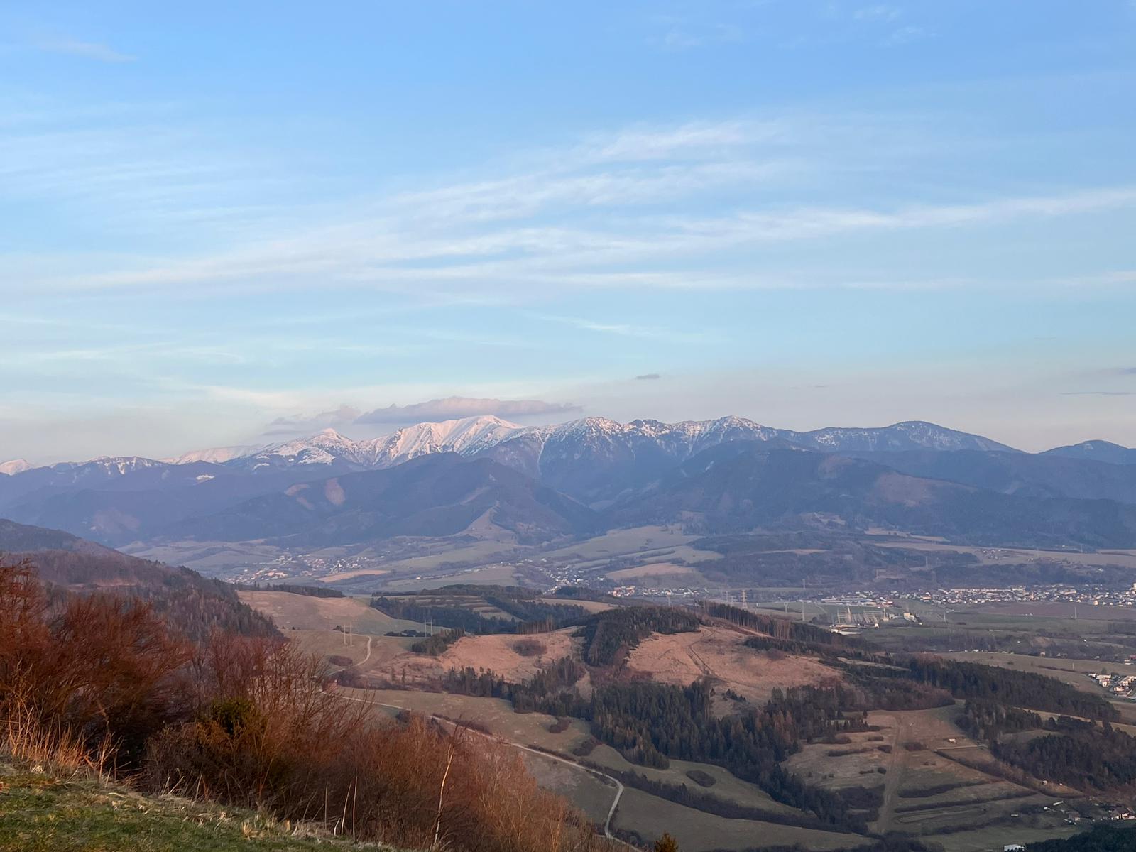 Obrázok WhatsApp 2023-03-22 o 18.15.08.jpg