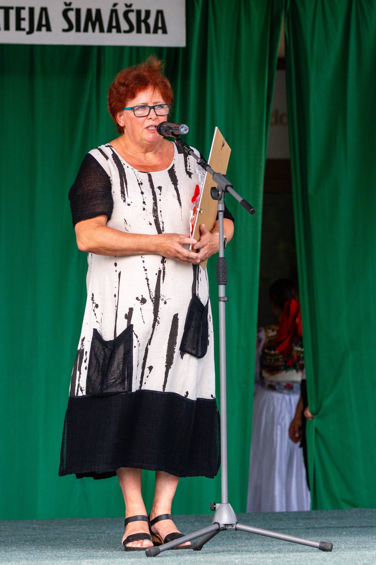 Ocenena-Katarina-Hallonova-historicka-drotarstva-z-Povazskeho-muzea-600x900.jpg