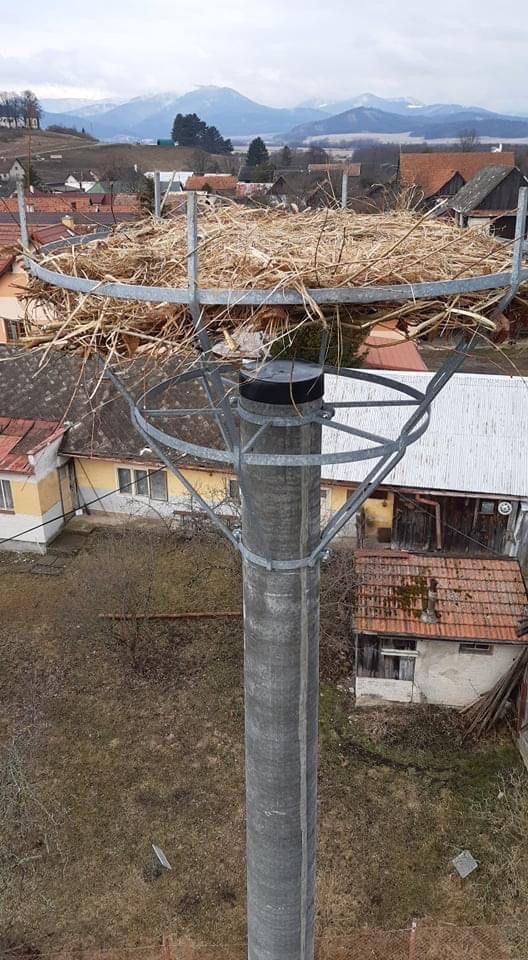 Osadená hniezdna podložka s pripraveným výpletom z prútia a trávy_.JPG