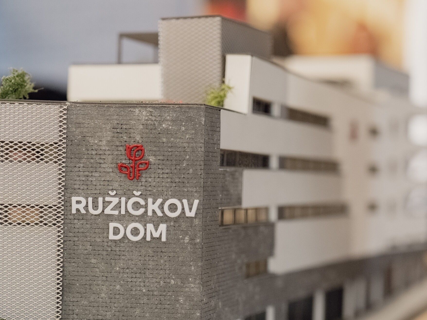 P1014856.jpg