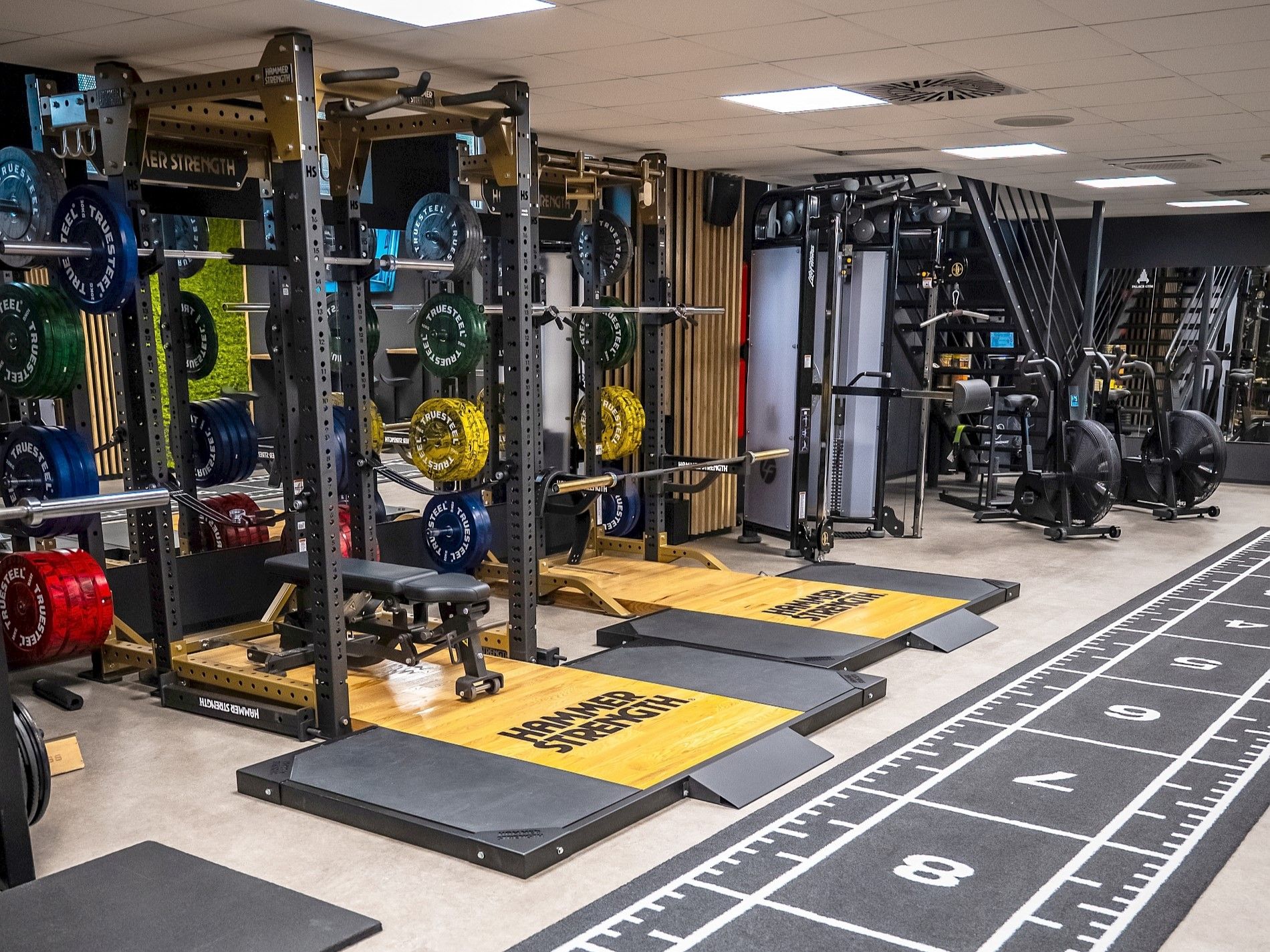 Palace Gym ZA.jpg