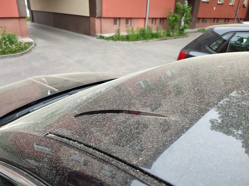 Peľ na autách v Martine_.jpg