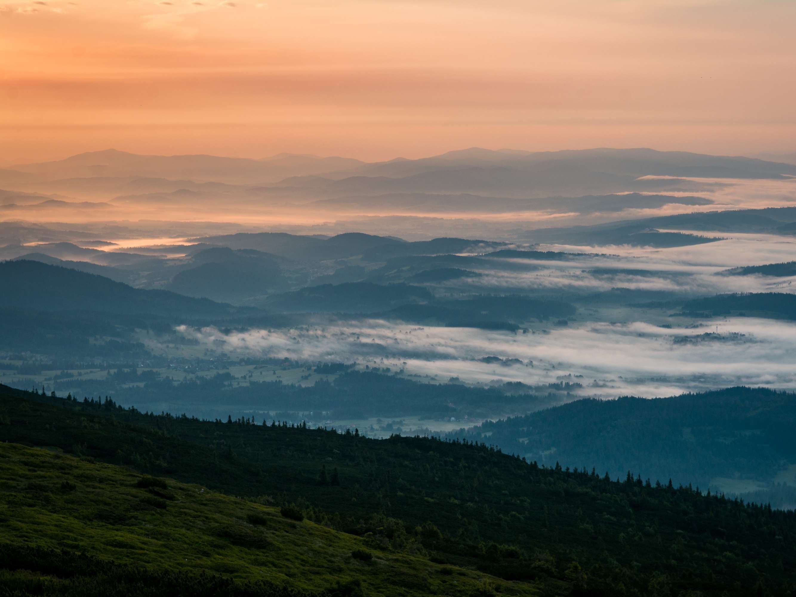 Piotr Grygierczyk2.jpeg