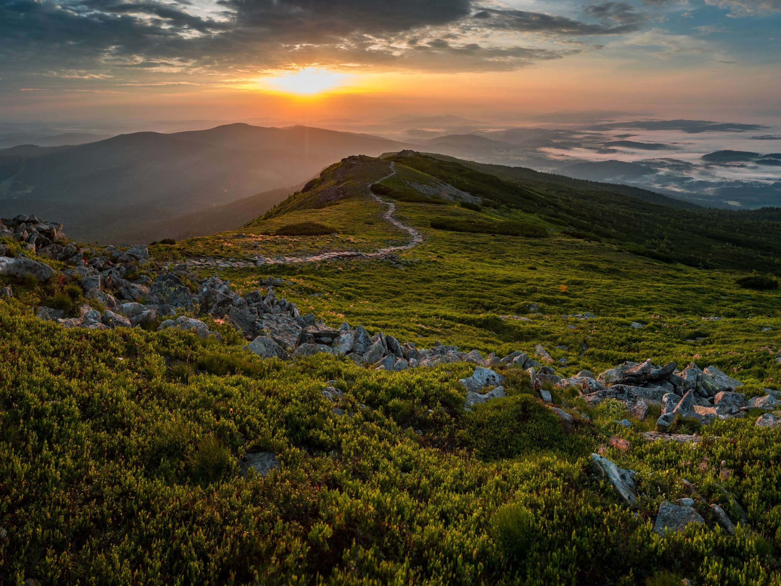 Piotr Grygierczyk4.jpeg