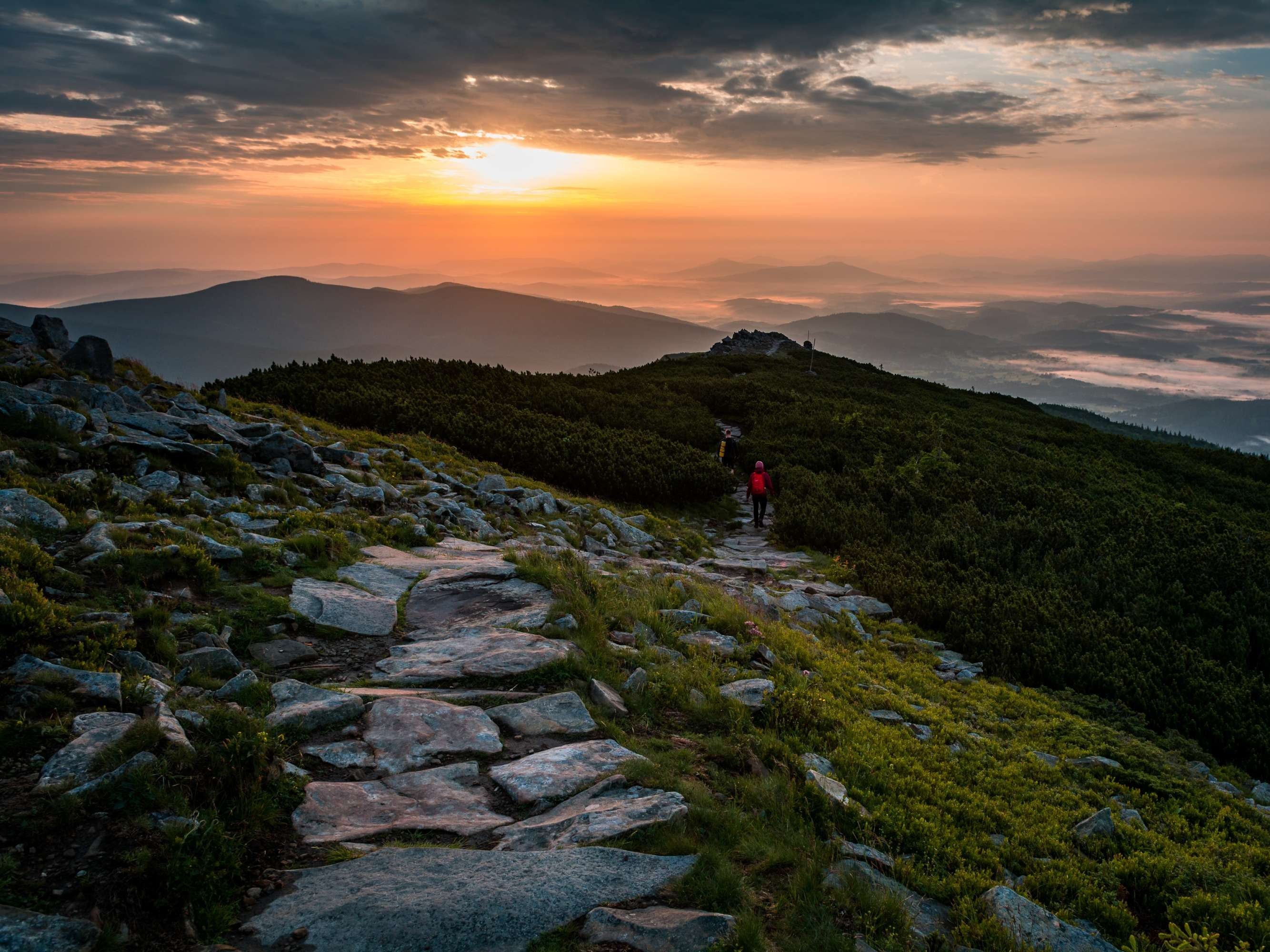 Piotr Grygierczyk5.jpeg