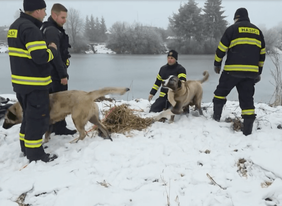 Screenshot at dec 02 10-11-16.png