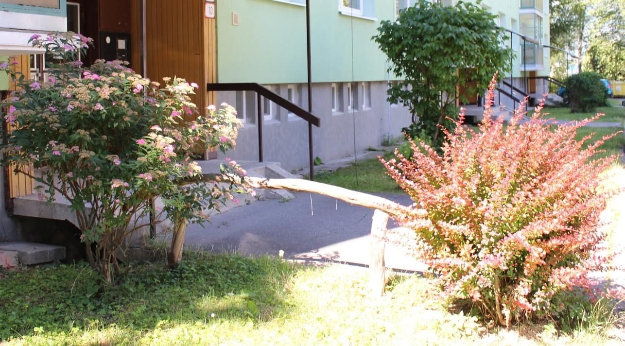 Šípošova 10, Darina Stadruckerová.jpg
