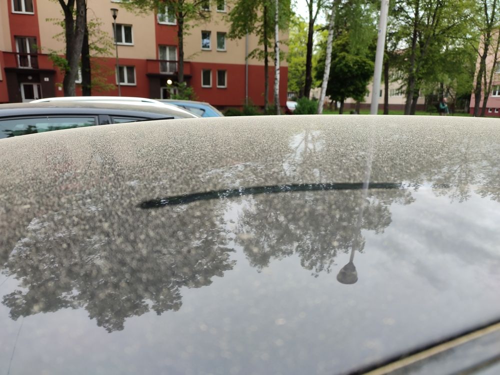 Umyté auto je o pár minút pokryté peľom_.jpg