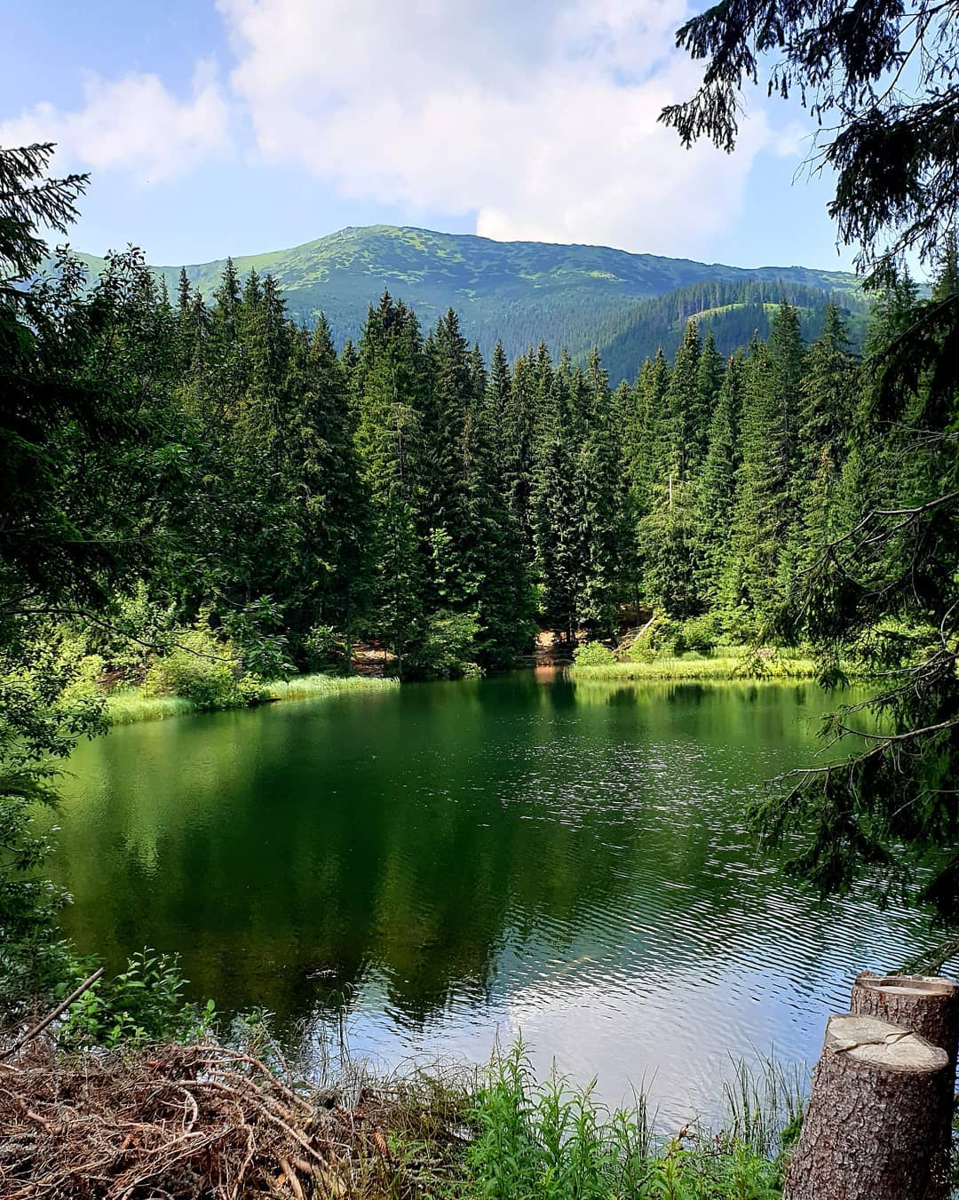Vrbické pleso Zdroj  instagram.comsipos.martin  _.jpg