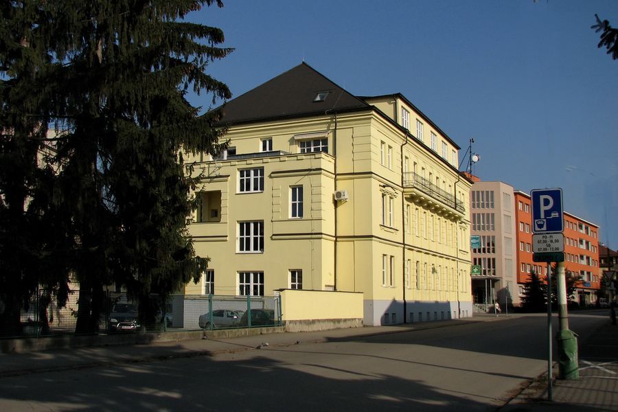 ZG 2.jpg