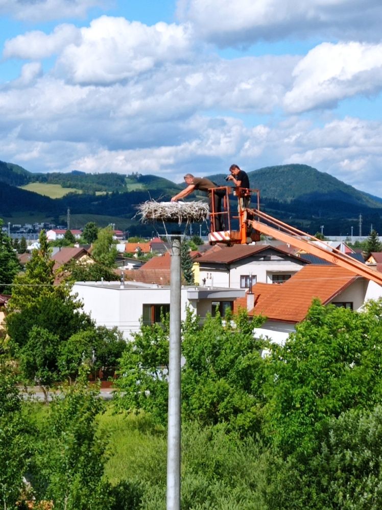 bociany_Mojs_2022_5.jpg