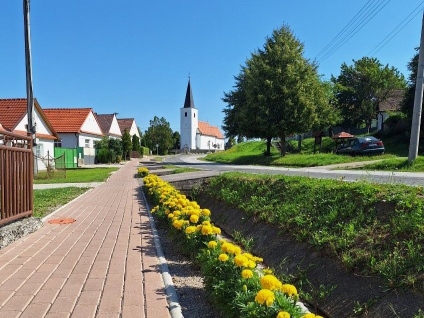 č 6.jpg