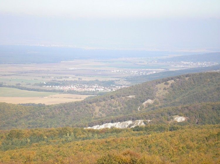 č 7.jpg