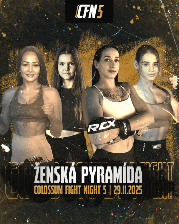 cfn3 (1).png