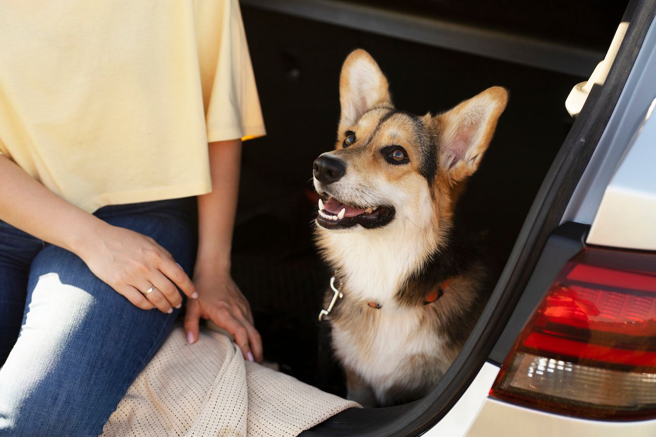 close-up-woman-with-dog.jpg