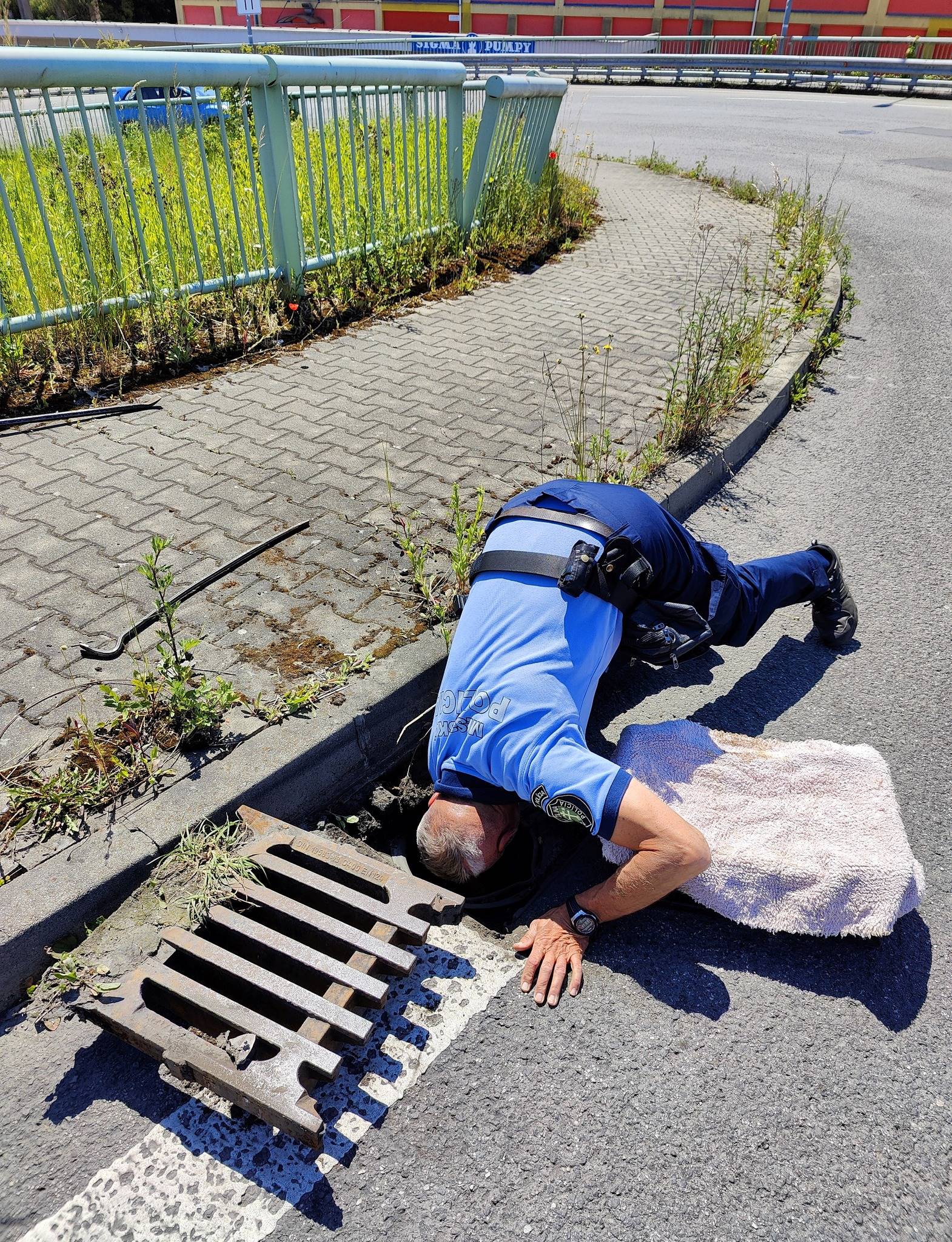 dobra1.jpg
