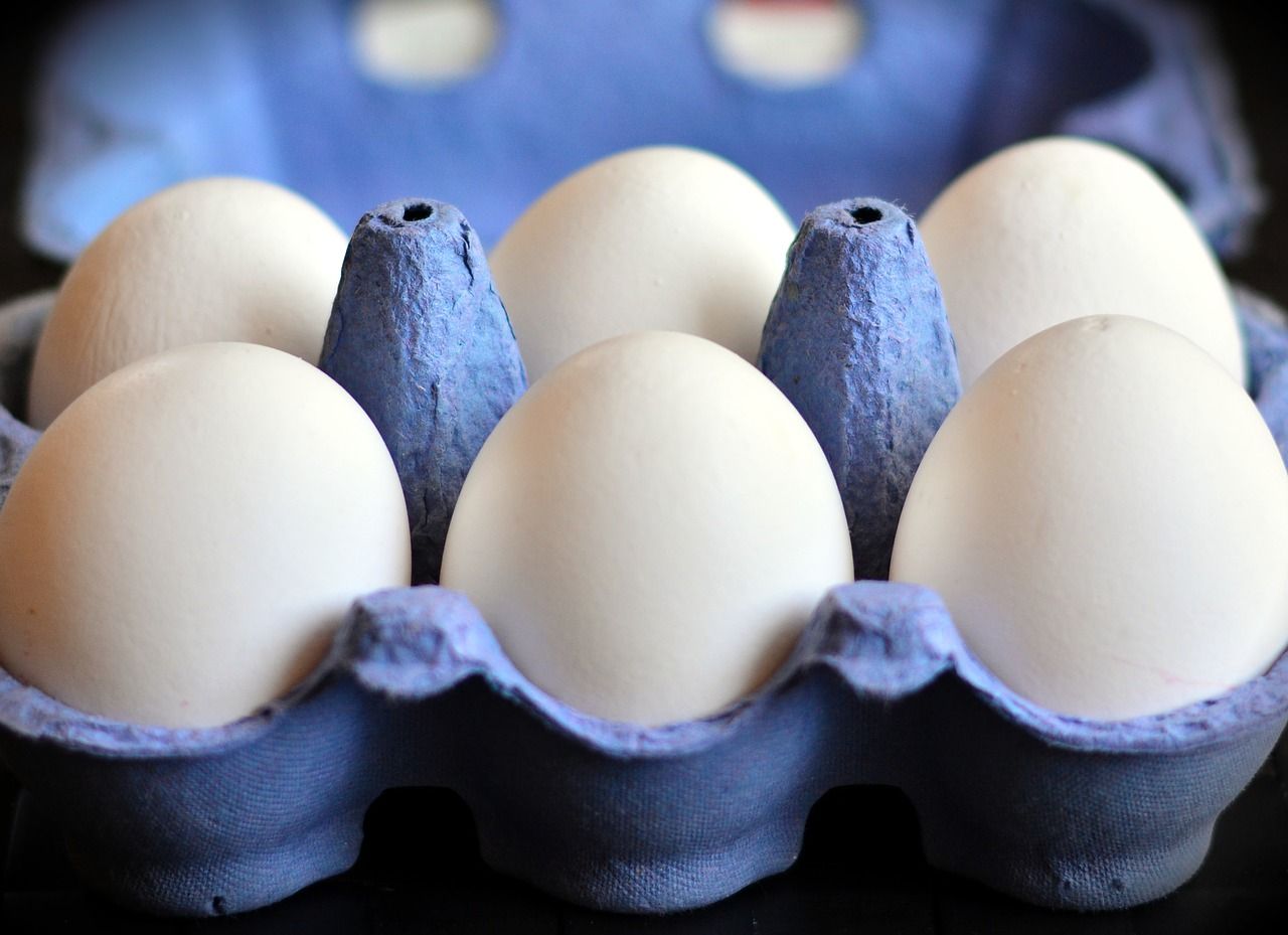 egg-3506222_1280.jpg
