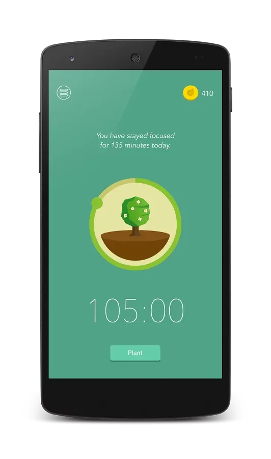 forest-1.webp