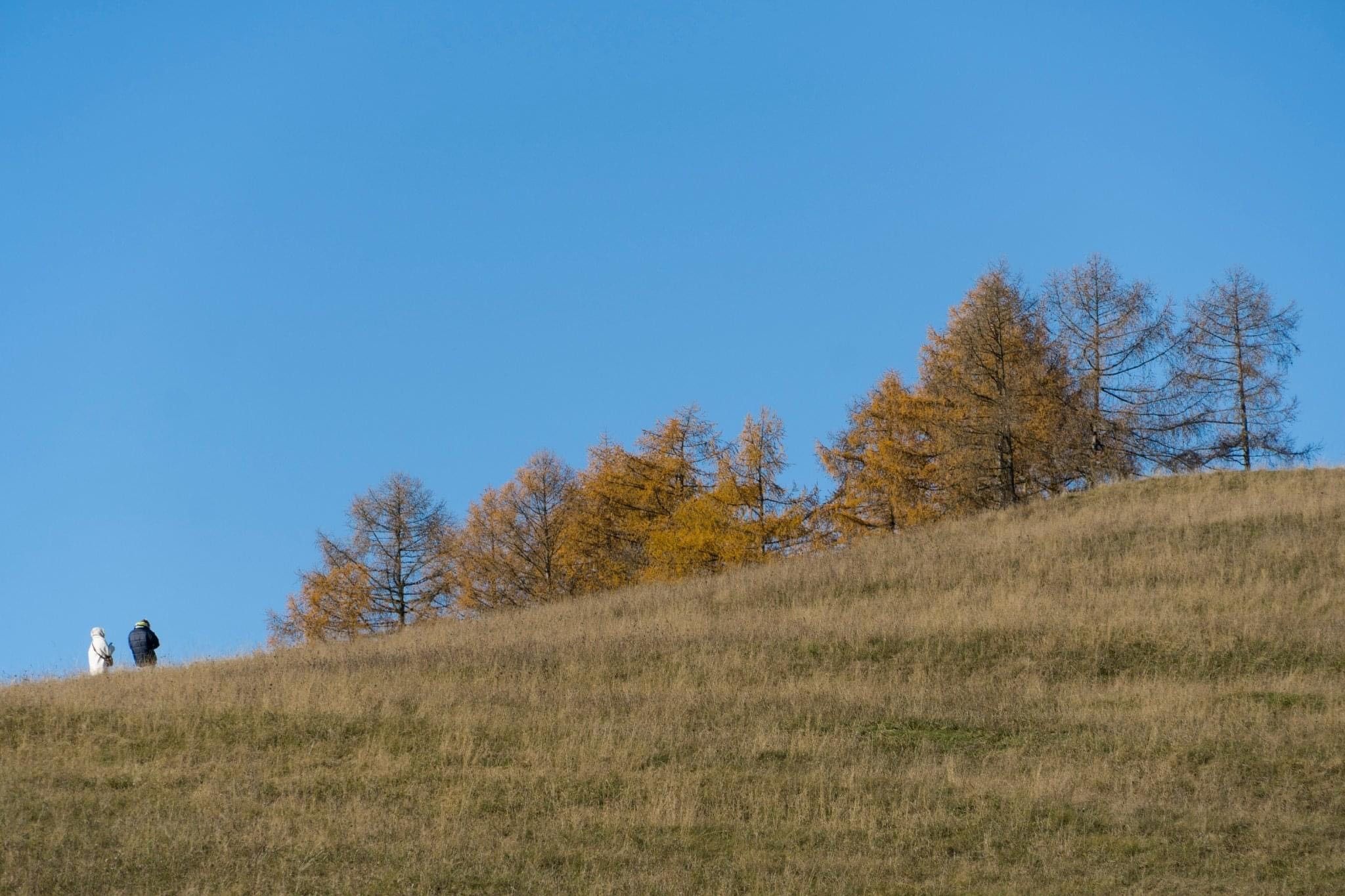 foto mesto Ružomberok.jpg
