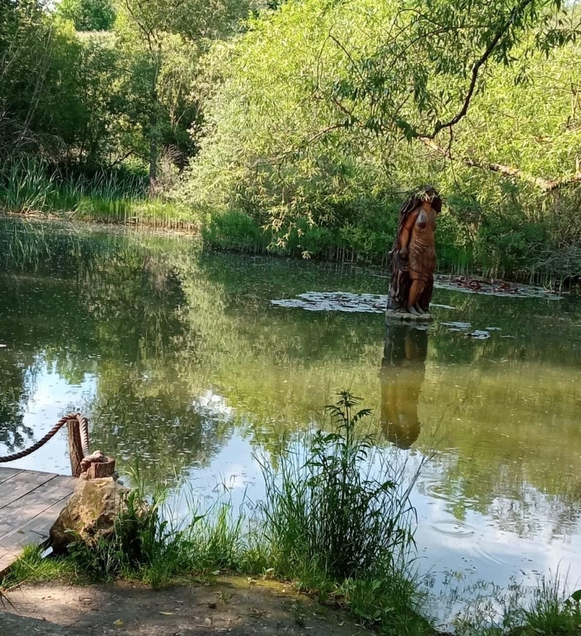 jazierko foto mesto Martin.jpg