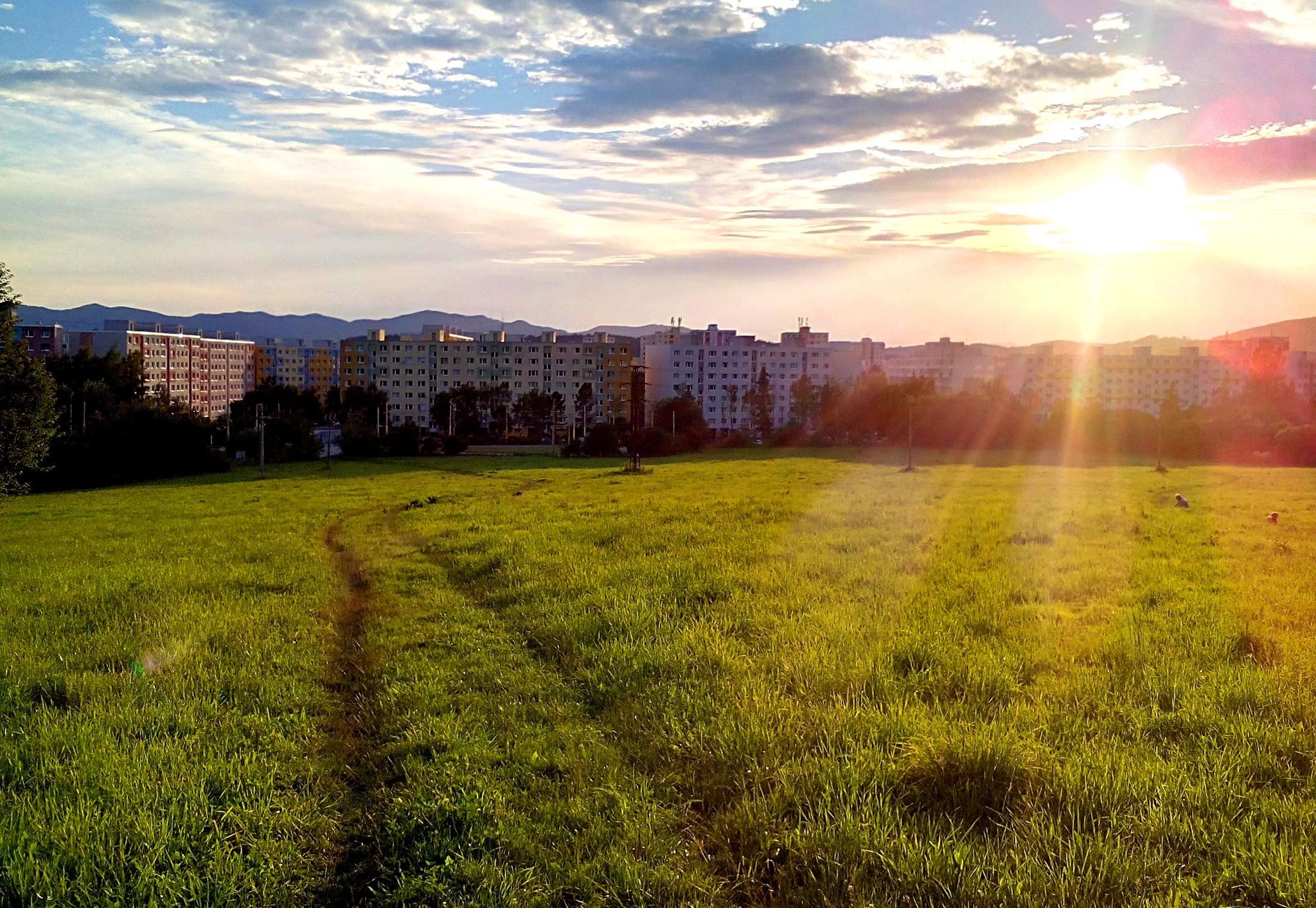 Foto: Foto: MŠK Žilina - Daniel Stehlík