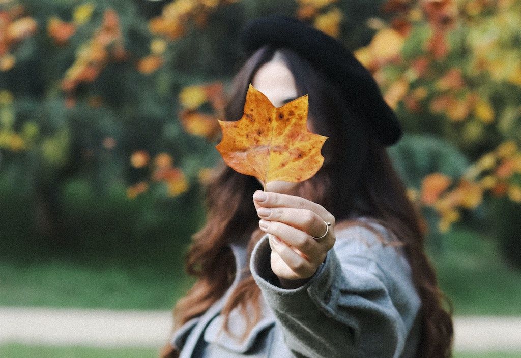 pexels-beyza-efe-10032074.jpg
