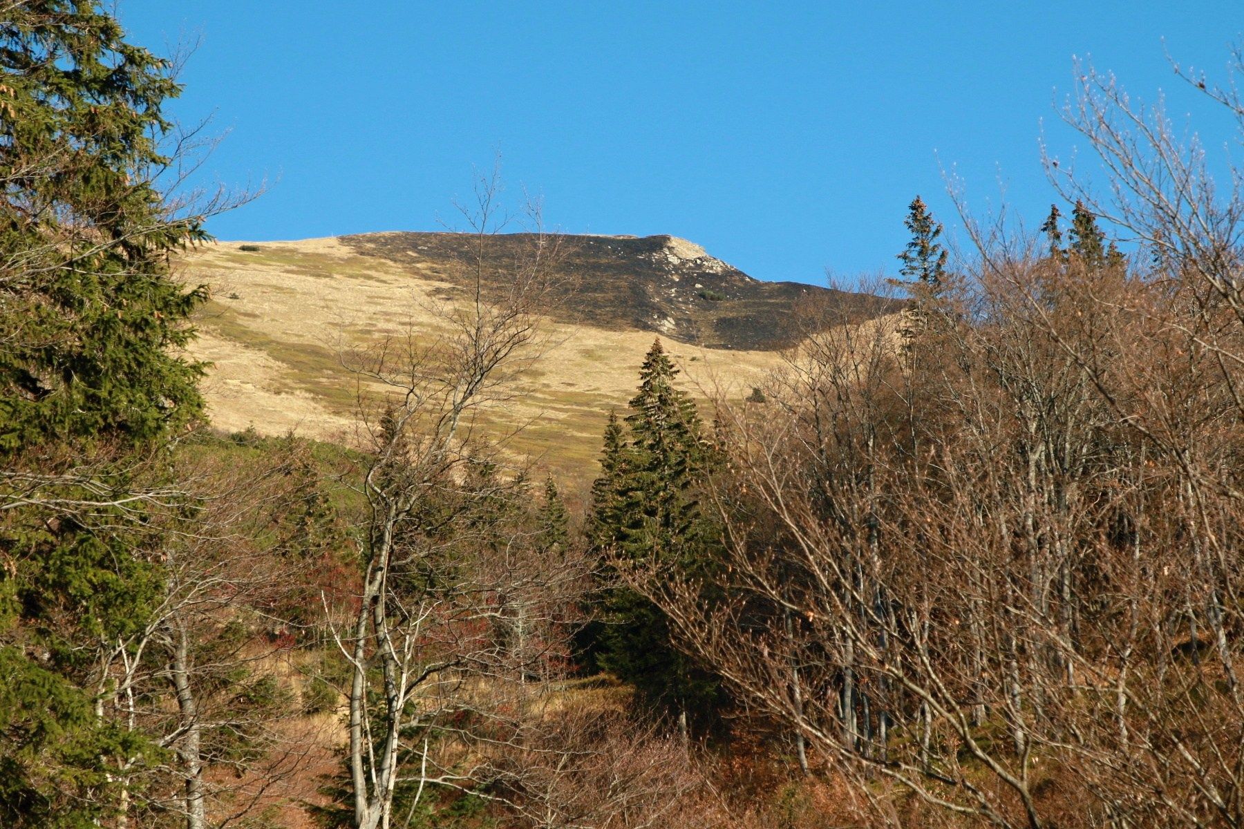 poziar_Mala_Fatra_2022_1.jpg