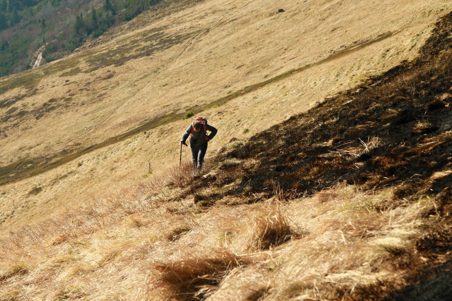 poziar_Mala_Fatra_2022_5.jpg