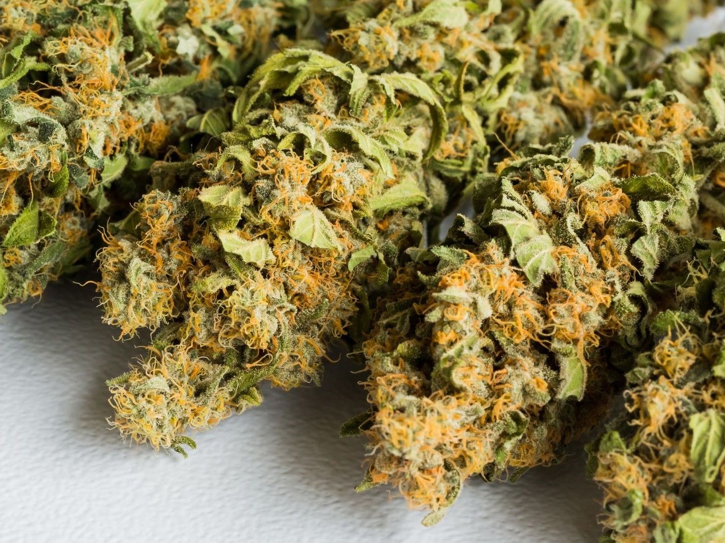 selective-focus-shot-cannabis-white-surface.jpg