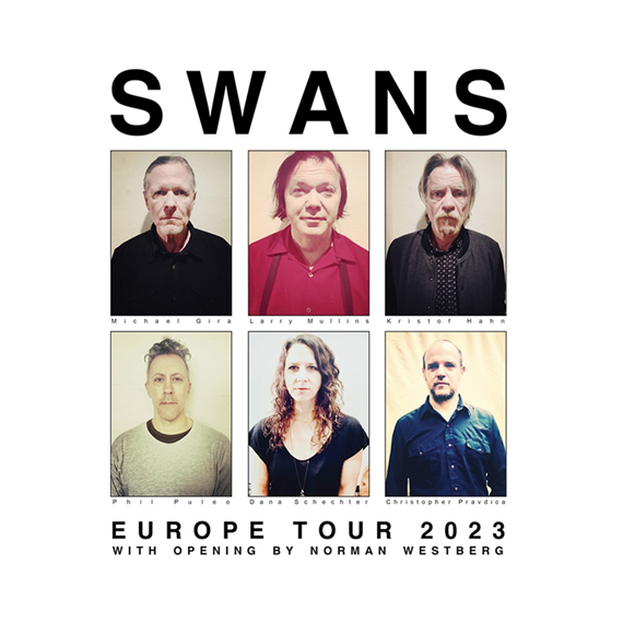 swans, zdroj = nova synagoga .png