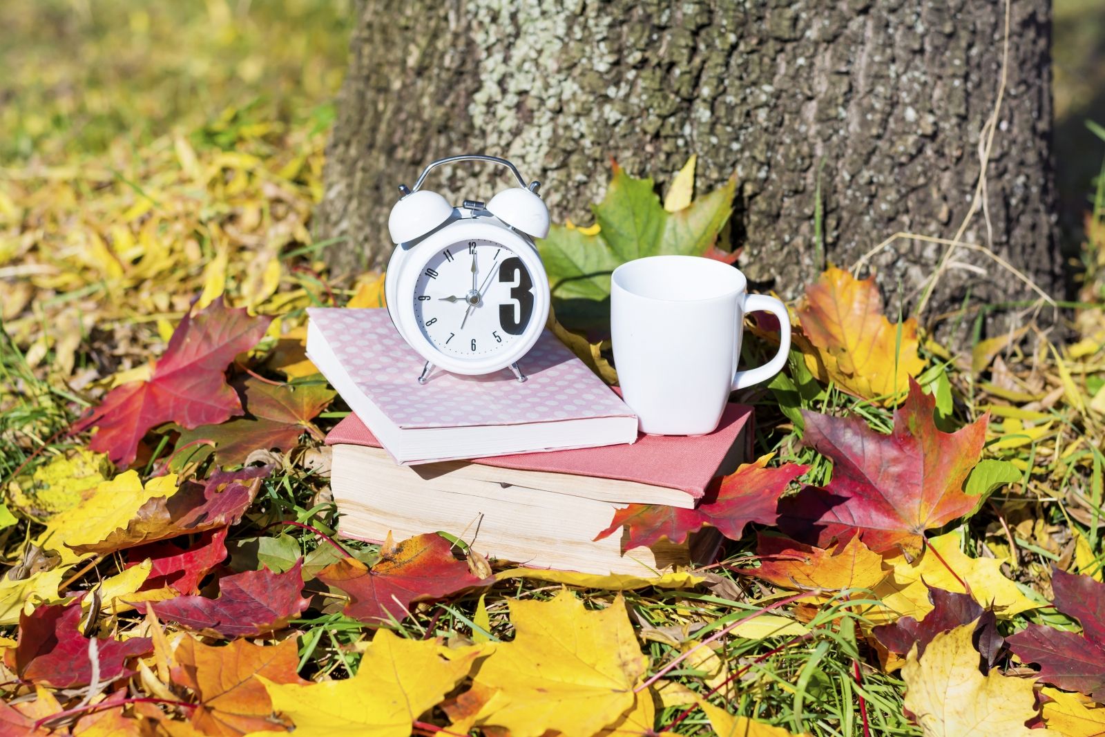white-clock-books-dry-leaves_1600x1067.jpg