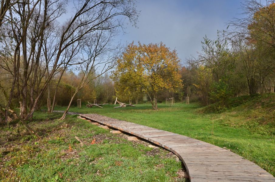 xDSC_0623.jpg