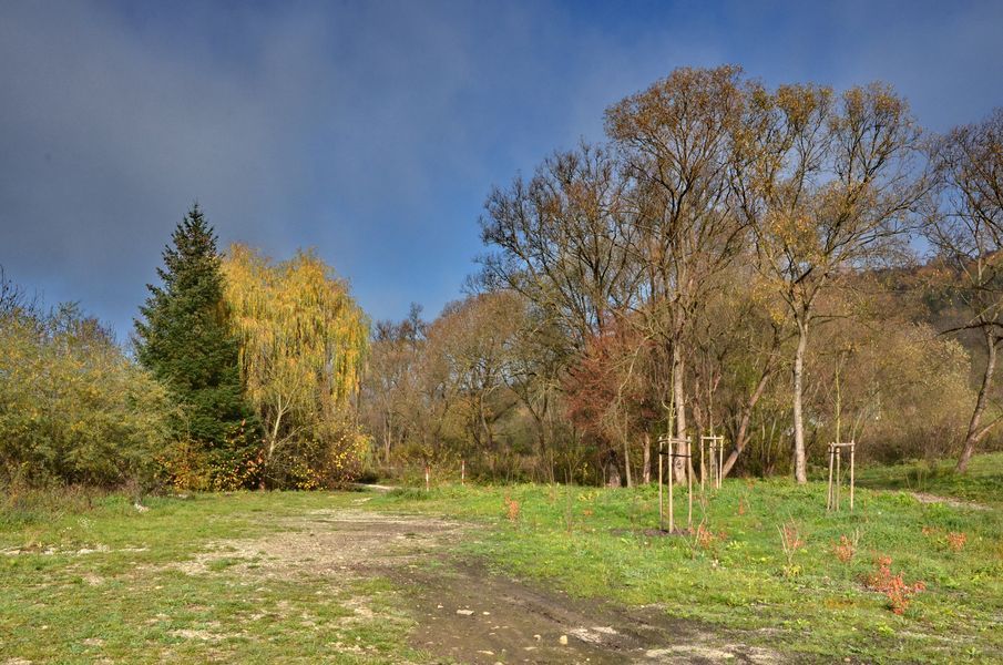 xDSC_0637.jpg