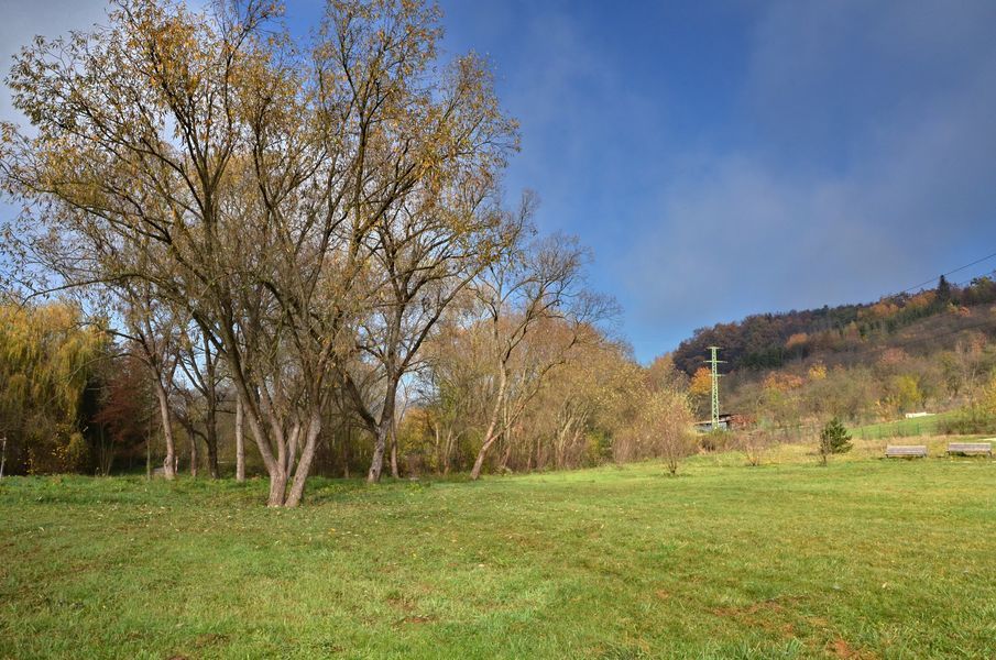 xDSC_0638.jpg