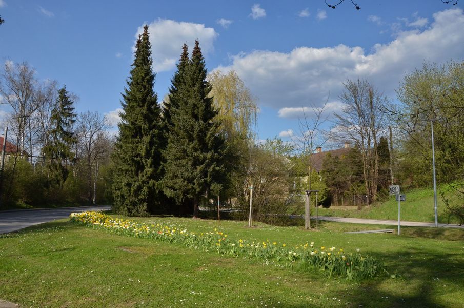 xDSC_2039.jpg