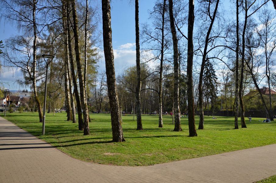 xDSC_2051.jpg