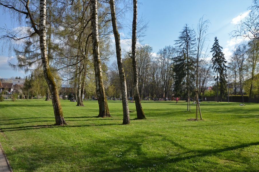xDSC_2052.jpg