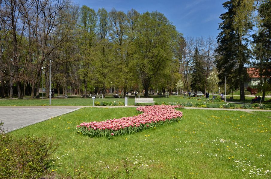 xDSC_2535.jpg