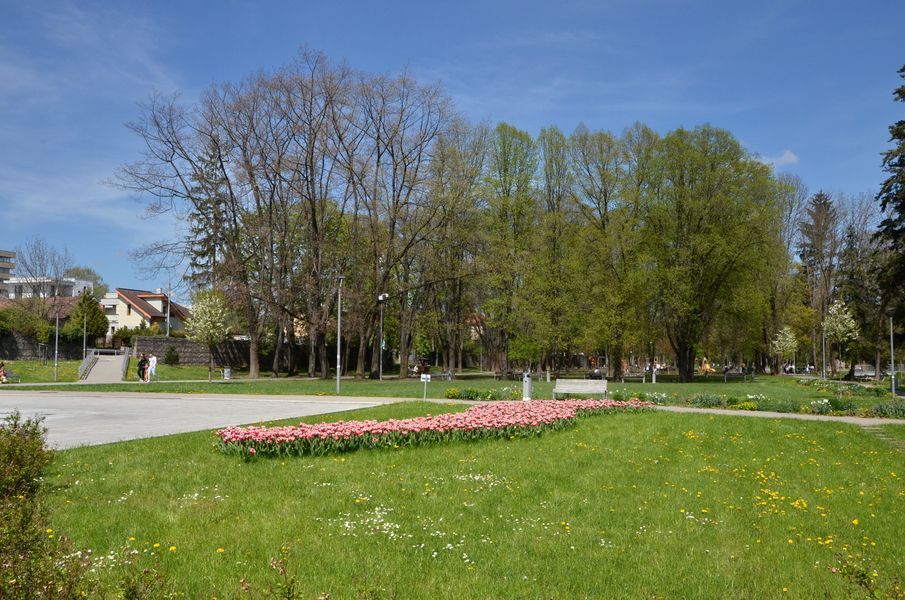 xDSC_2542.jpg