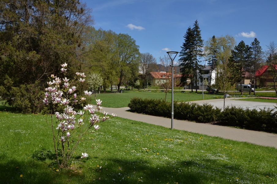 xDSC_2551.jpg