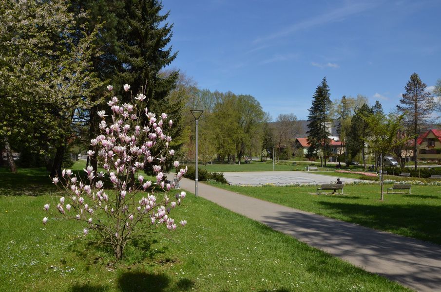 xDSC_2554.jpg