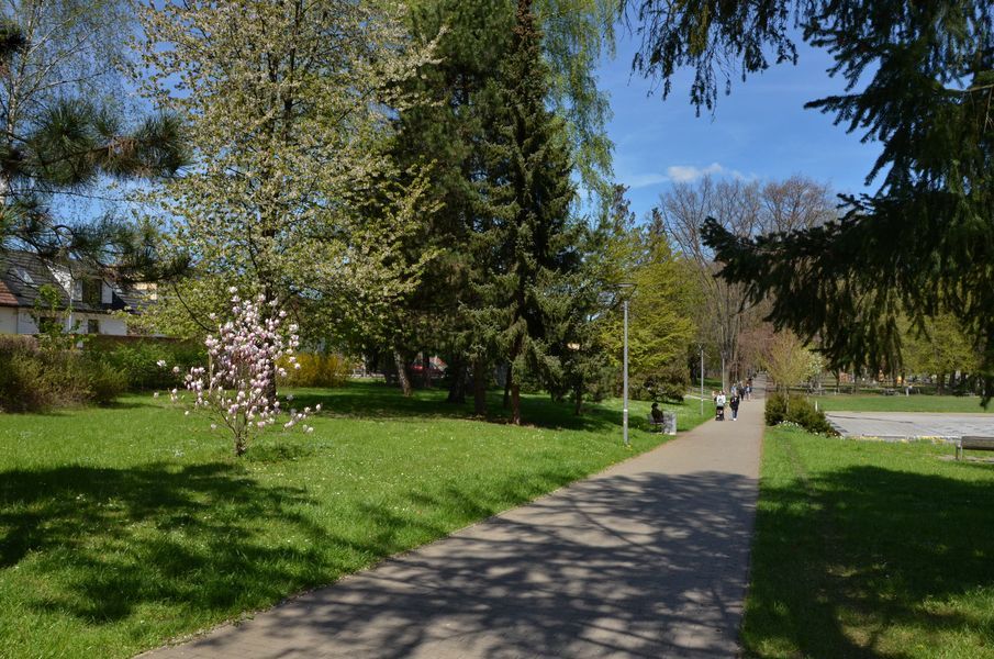 xDSC_2555.jpg