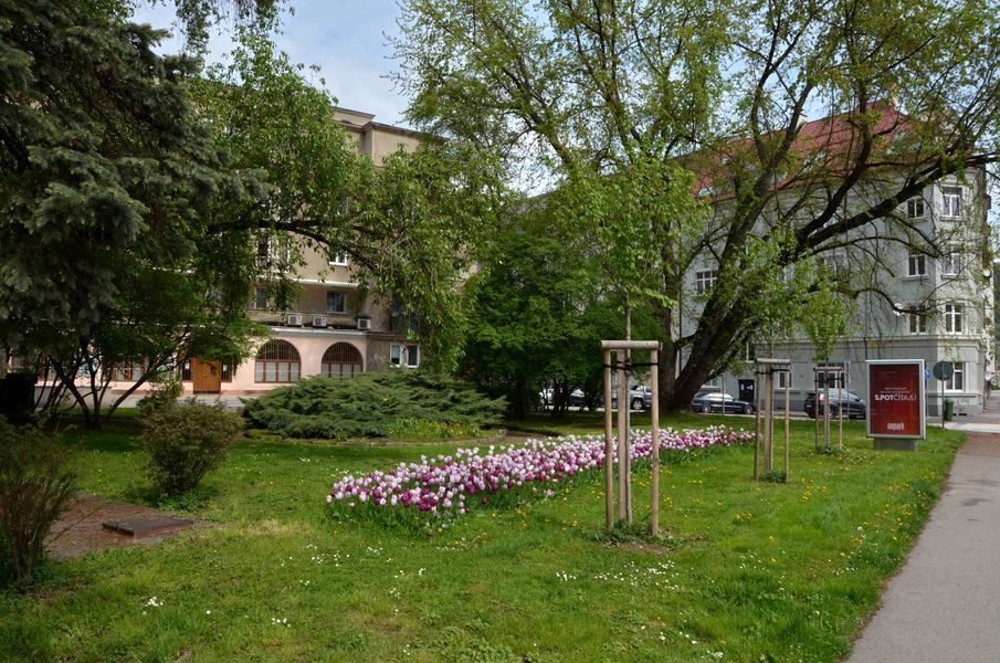 xDSC_5165.jpg