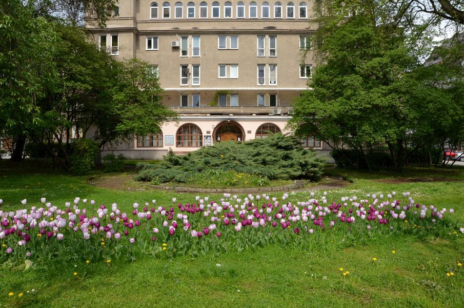 xDSC_5202.jpg