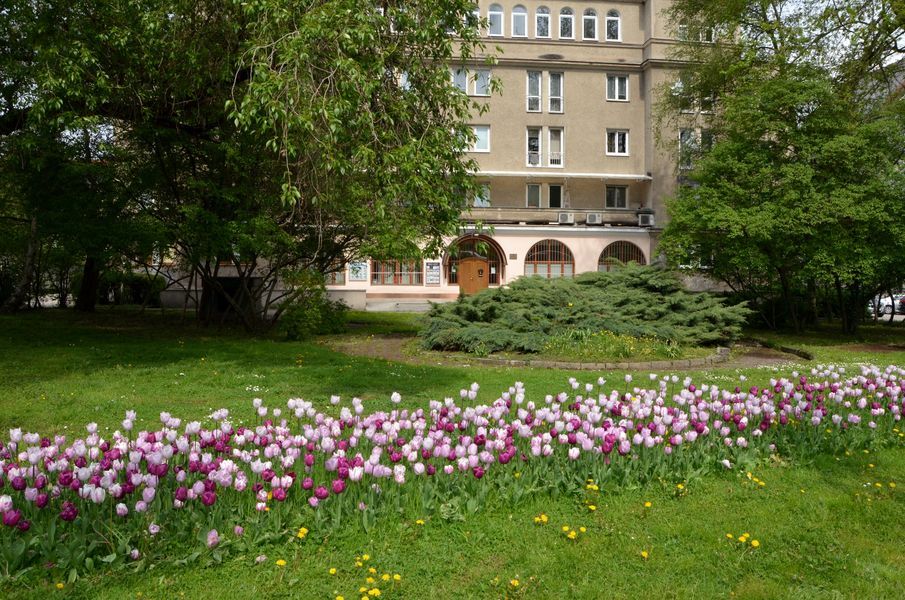 xDSC_5203.jpg