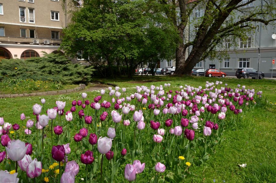 xDSC_5208.jpg