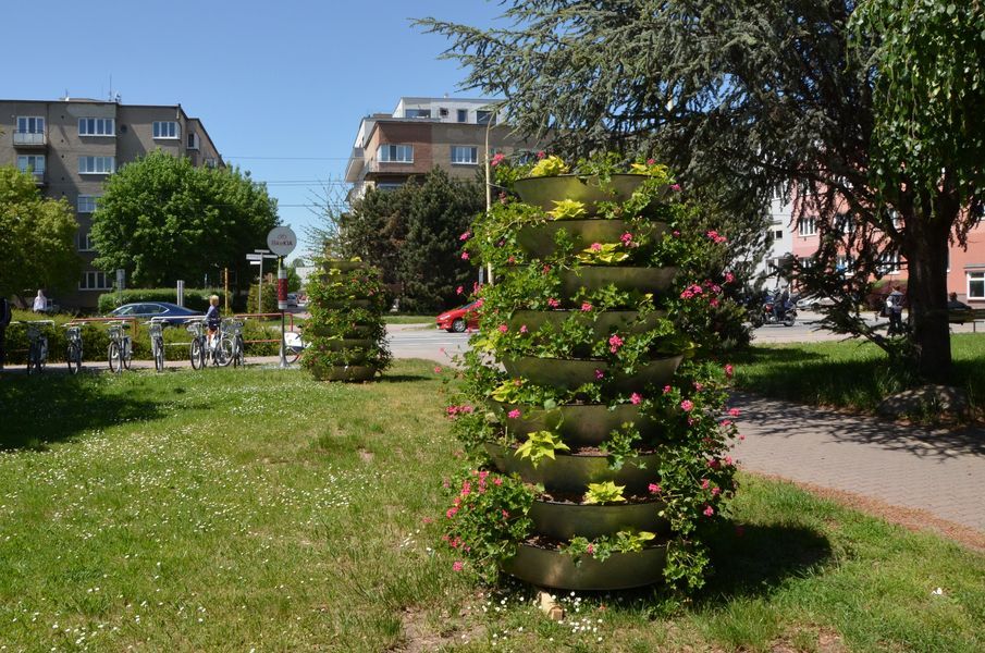 xDSC_5908.jpg