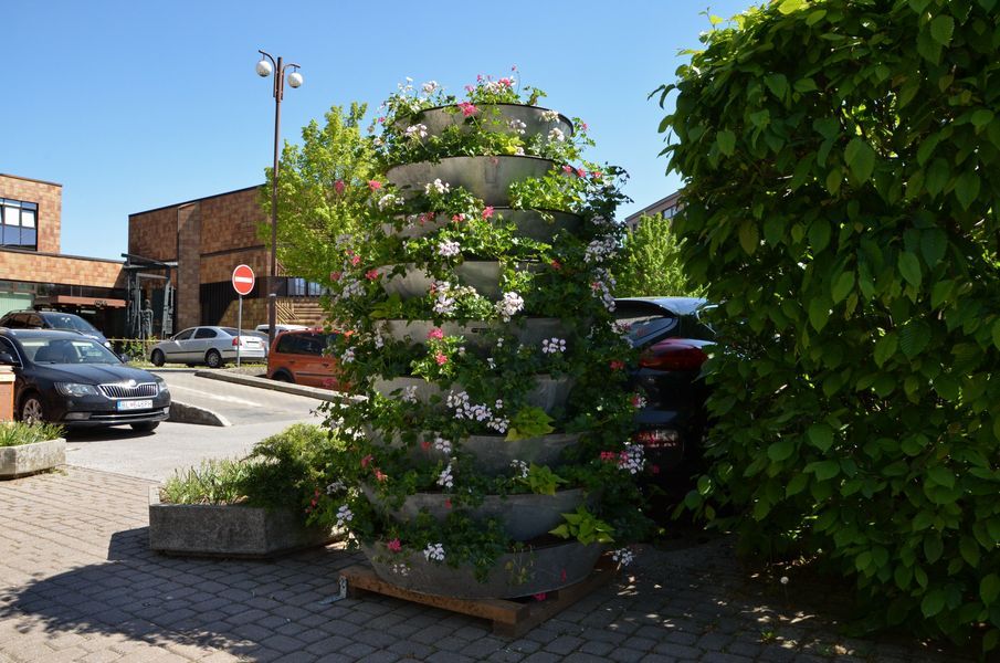 xDSC_5980.jpg