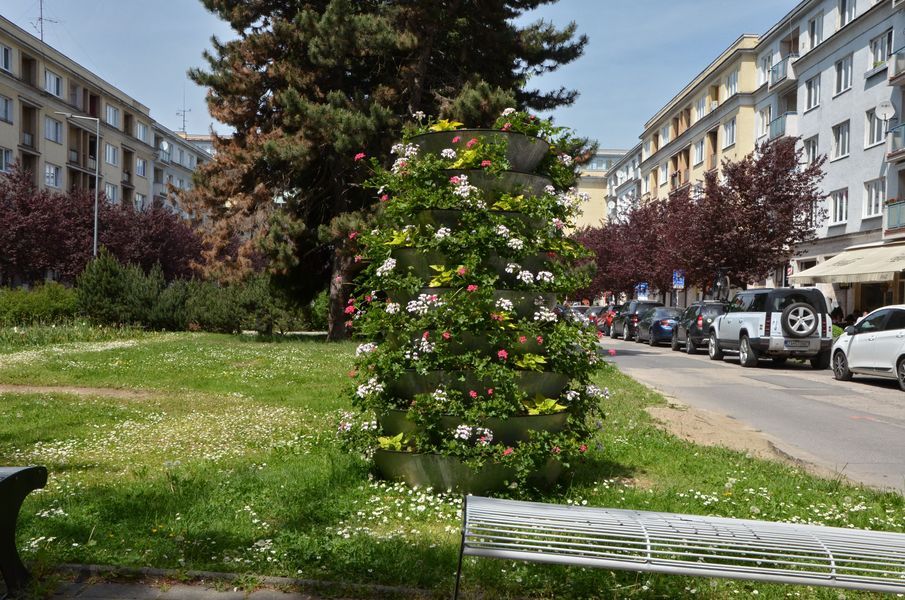 xDSC_6051.jpg