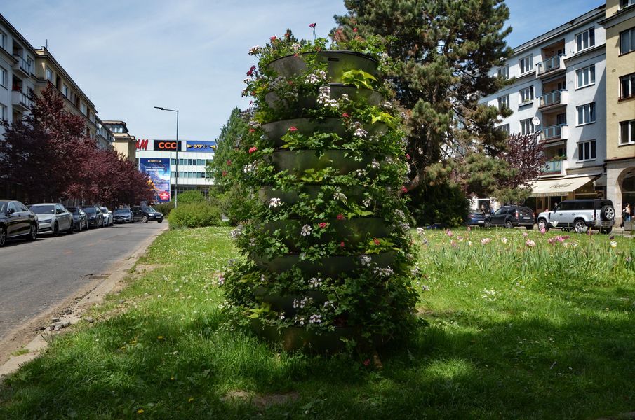 xDSC_6052.jpg